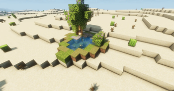 Rare Desert Lake