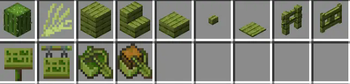 Cactus wood inventory