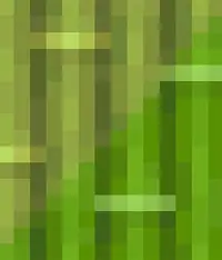 BambooKai_