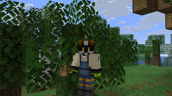 Oak