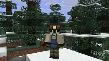 Spruce
