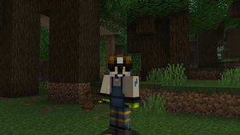 Dark Oak