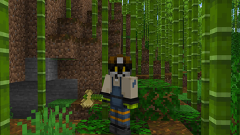 Bamboo