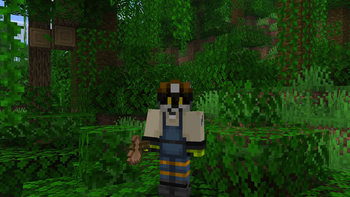 Jungle
