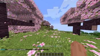 Spawn Teleport