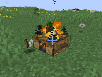 Campfire Cooking