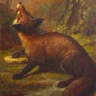 Foxwain