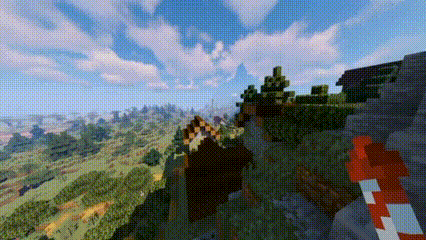 Elytra flight