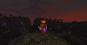 Night time look