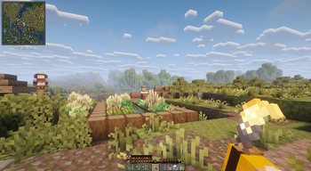First person view (in game) 