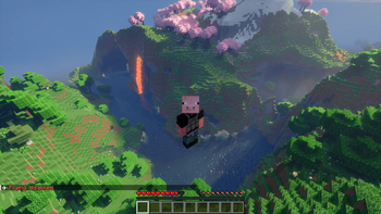 Flight Disabled