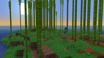 Starting Island