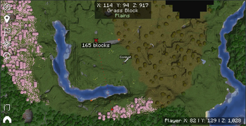 Temporary pins and custom waypoints