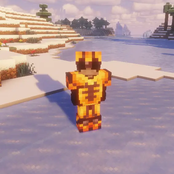Trimmed Netherite Armor