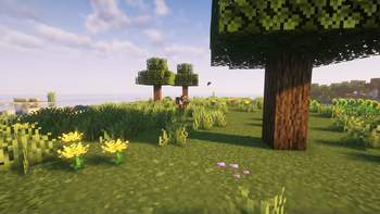 Plains