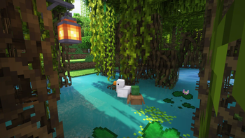 Ducks in Mangrove Swamp