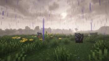 Plains during Rain