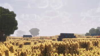 Field