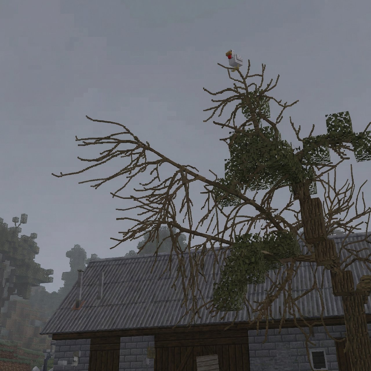 ChickenOnTree