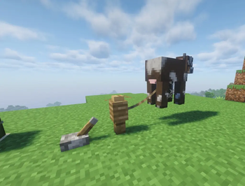 Cow a little after winching