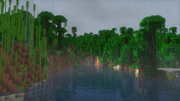 SHADERS PICTURE 3