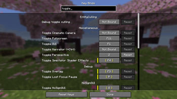 Keybinds