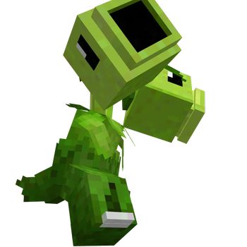 Pea.