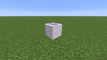 Femur Core