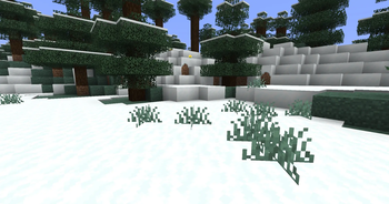 Better Snow