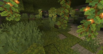 Better Moss