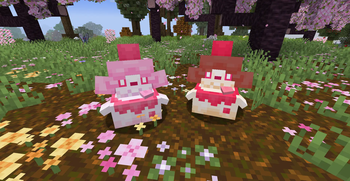 Slurpuff and Shiny Slurpuff