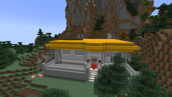 Pewter Gym