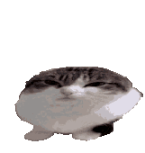 Icon for EVIL group