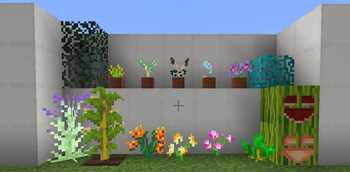 All New plants and leaves, including the Jill o Lantern