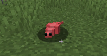 embryo mob
