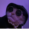 dandeib404