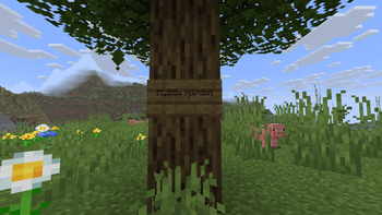 sign example