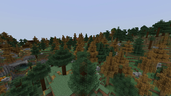 Boreal Forest