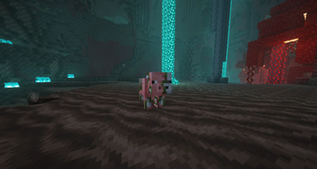 Random pigs (in nether)
