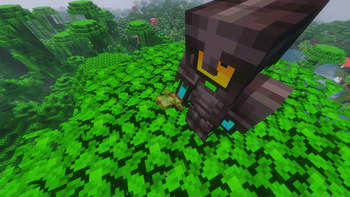 Transparent Totem