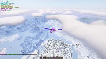 Elytra fly helper
