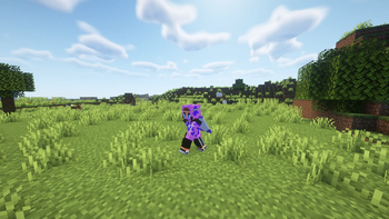 Player Animation