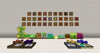 Plants