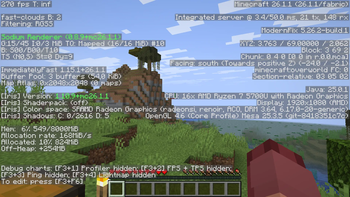F3 Screen on a newly generated world