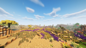 Flowering Drylands