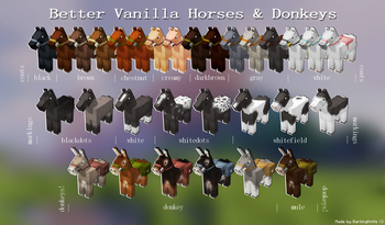 Coats, markings, donkeys, mule!