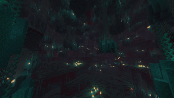 Warped Forest