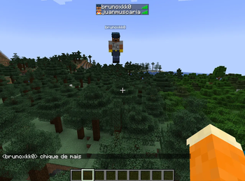 Friendlist & P2P Play Backport Screenshot 2
