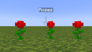 Roses