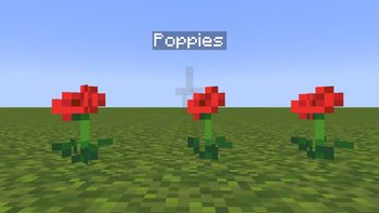 Poppies